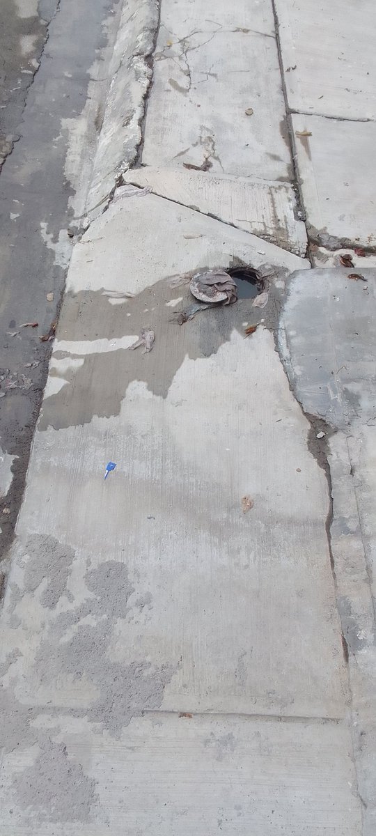 JudithTp4's tweet photo. @Cicmty hay una fuga de drenaje desde hace más de una semana en  calle cerezos 944 y 938, entre pirul y de los pinos en hda. Los Morales, San Nicolás de los Gza. Múltiples reportes no han sido atendidos https://t.co/dd61JFQRYp