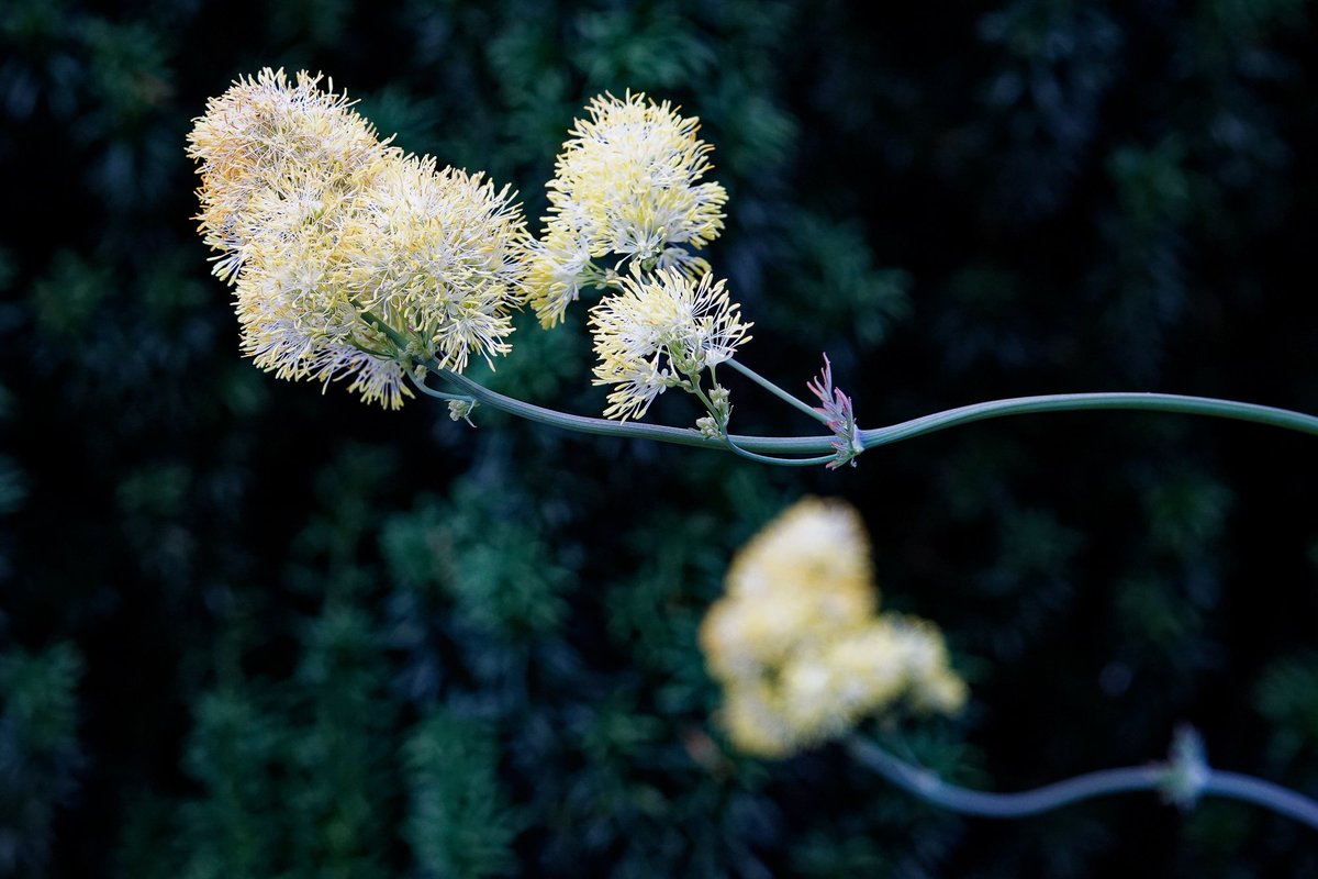 <a href="/winterbournehg/">Winterbourne HG</a> was stunning today