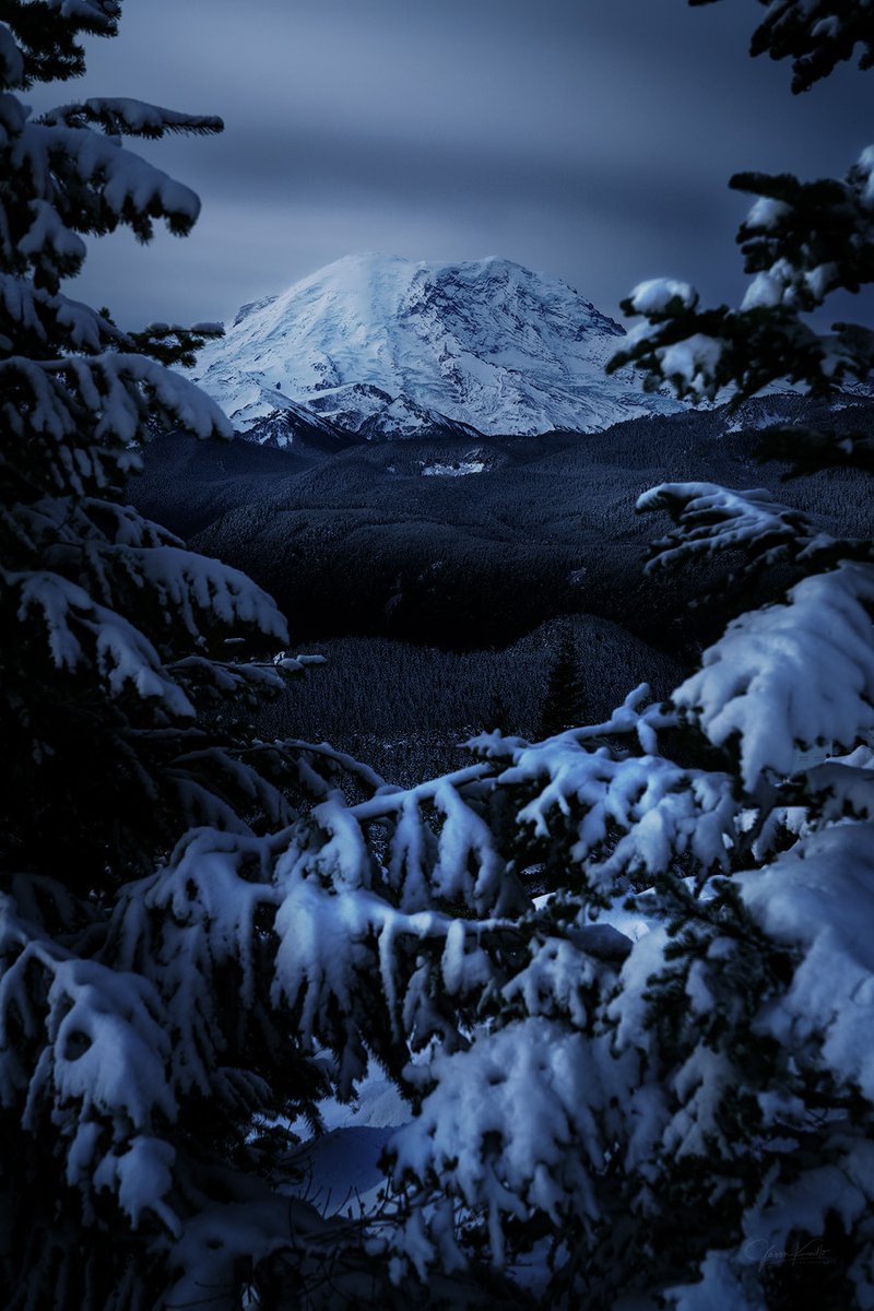 JasonKudloPhoto's tweet image. In this scene, Mount Rainier watches over a winter wonderland, its snow-capped peak mirrored by the blanketed evergreens that cover the landscape. 

#TruetoNature #visitrainier #mountrainier #winterscene #snowylandscape #wintersnow #winterlandscape