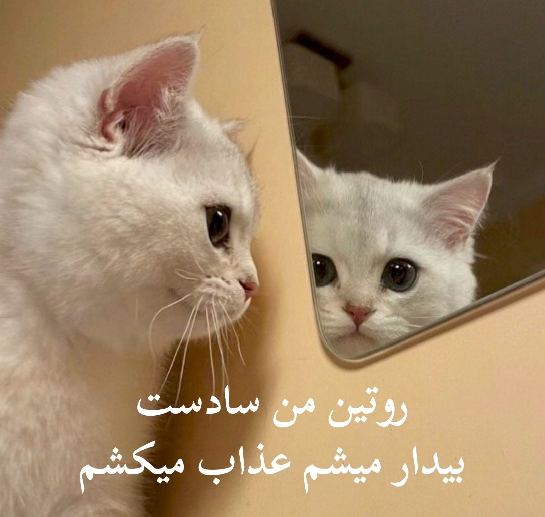 yekMasih's tweet photo. https://t.co/zVIOXvZCr5