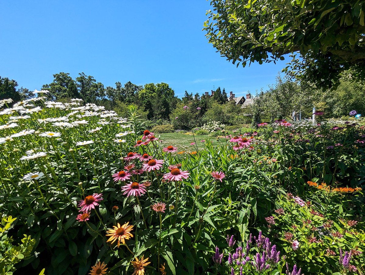 stanhywet's tweet photo. Thanks to your generosity & the generosity of The Betty V. and John N. Jacobson Foundation, we beat our goal of $40K on #714Day!
We are grateful to everyone who donated on July 14, so that we can continue to share the legacy of the Seiberlings and Stan Hywet. https://t.co/kXlnwZSBJL