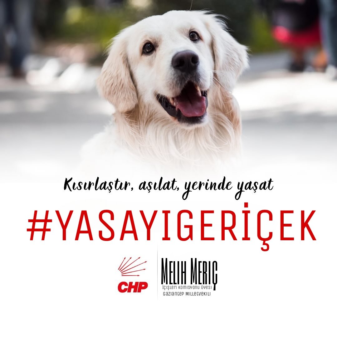 melih_meric's tweet photo. Ben CHP Gaziantep Milletvekili Melih Meriç 

Sokakta yaşayan hayvanları esarete ve ölüme mahkum etmek için hazırlanan yasa teklifine karşı oyum "hayır"!

Üretimi durdur, ticareti yasakla; kısırlaştır, aşılat, yerinde yaşat. 

#YasayıGeriÇek 
#KatliamaOyumHayır https://t.co/OAtPHpXfPG