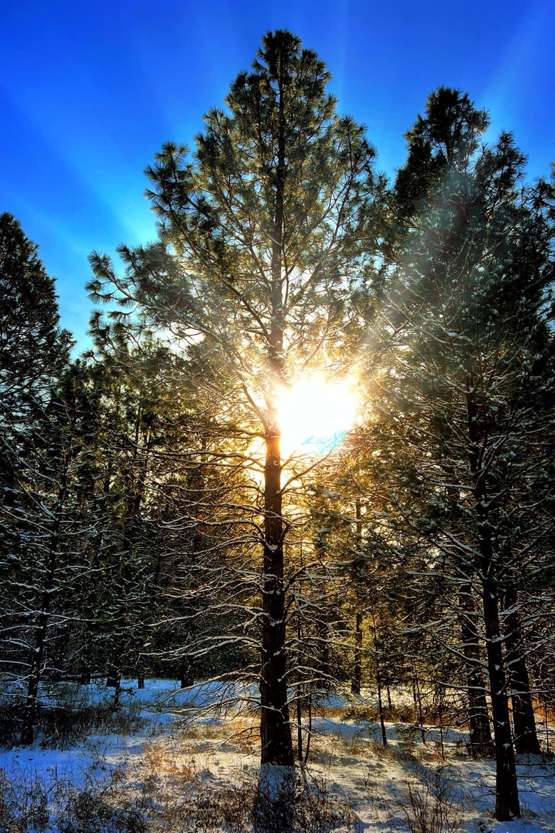 Langston (@langsto69459891) on Twitter photo 