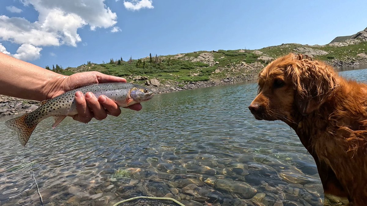 mountain mAndrew tweet media