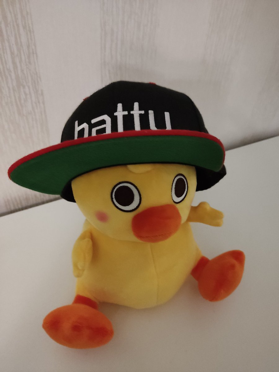 energiapulla's tweet photo. Vihdoinkin sain oman QUACK BOIN ! Kiitos @LaeppaVika #laeppavika ❤️😁 https://t.co/eDWqnjG5Ea