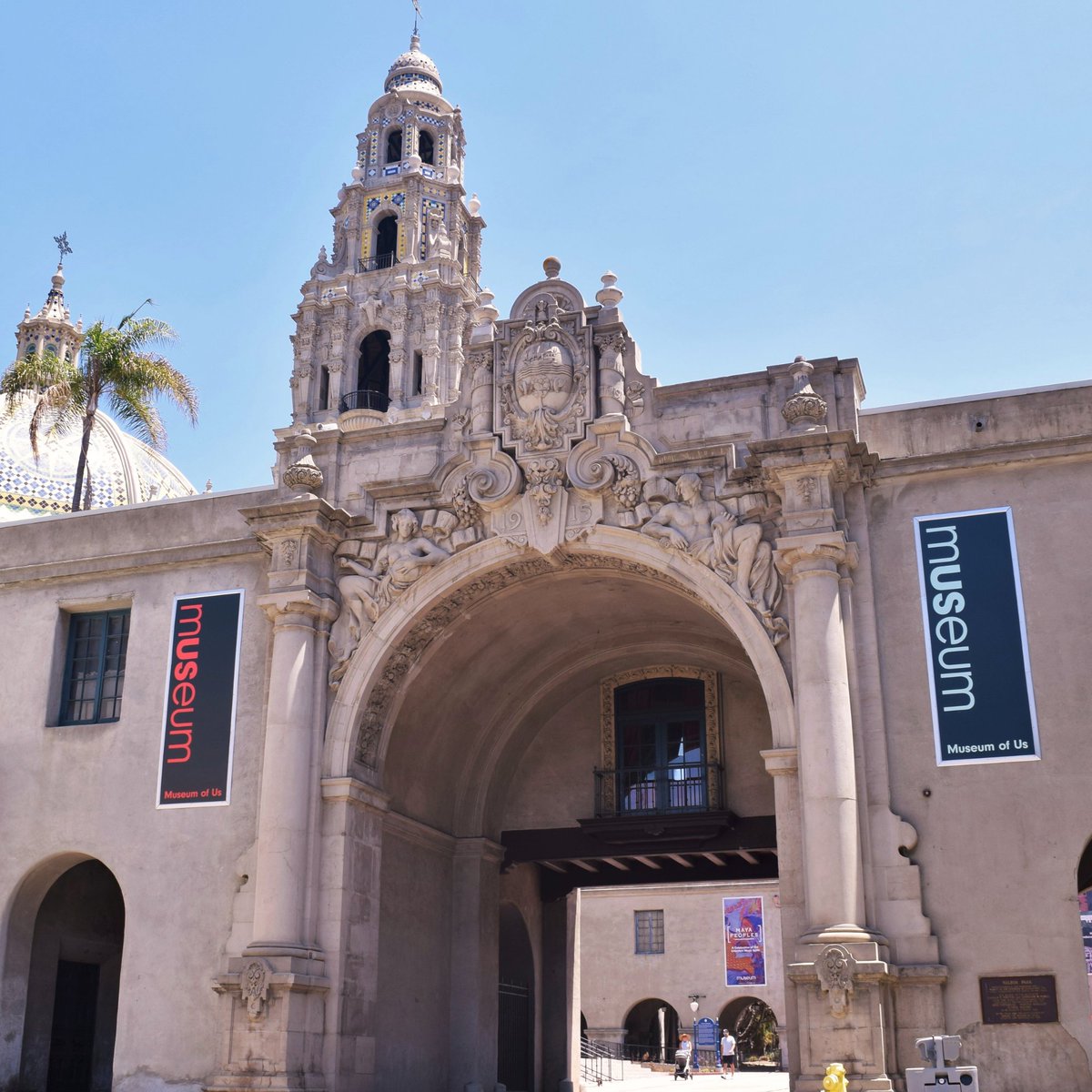 Museum of Us tweet media