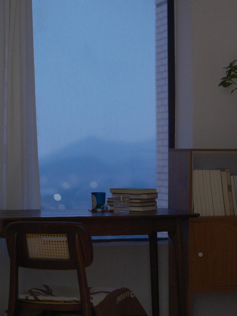 今年はいつもより写真や日記が増えました。
私の生き方が昔とどう変わったかというと、それは膨大な記録です。
私は、残る人のものや感じたことを、すべて記録しています。