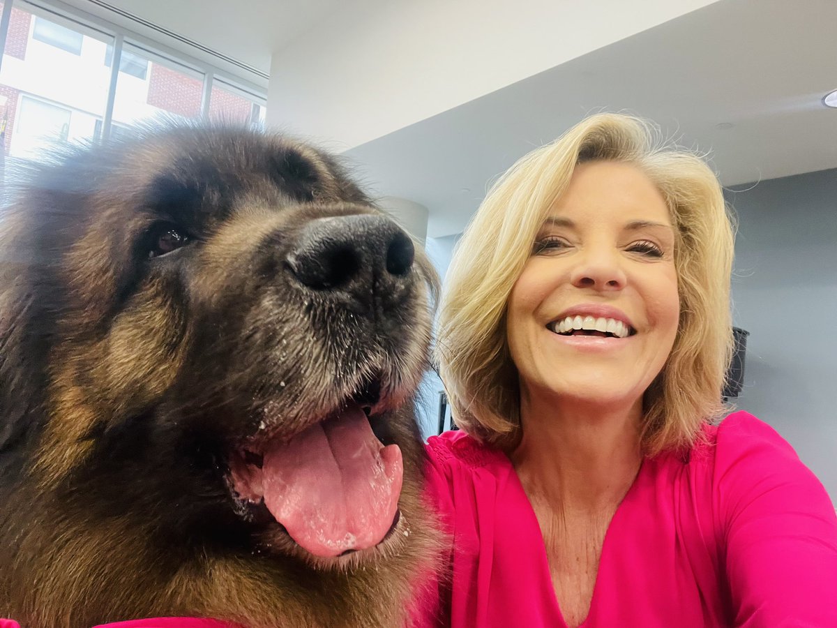 Tune in to my special report about this amazing dog Gryphon and why he means so much to so many people! Today at 4:45.