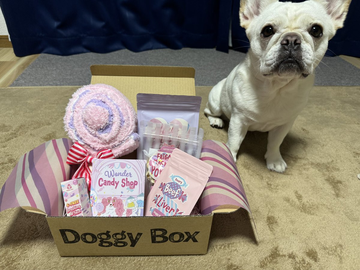 IngDardar's tweet photo. ドギーボックスさんからハイパーかわいいプレゼントをいただきました！
ペロキャン見た目の可愛さに反して頑丈でとてもよい。
#doggybox #pr @doggybox_jp https://t.co/QrdbMVtgna