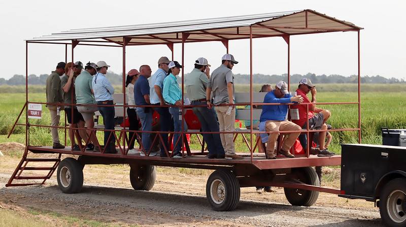 The Aug. 1 #rice field day in Stuttgart will feature presentations on breeding, germplasm, remote sensing and more. Learn more &amp; register at bit.ly/Ark-Rice-FD-24. @AgInArk #Arkansas