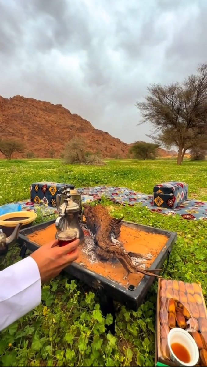 هل المسامحه بعد الخطاء ؟

يعني ارجعك لنفس النقطه السابقه ؟
ولا اصير انا ماسامحتك ؟
طبعا غير صحيح 
المسامحه لاتعني الرجوع لنفس الشعور 
ولنفس الصداقه 
ولنفس المحبه 
ولنفس الثقه 
ولنفس الاطمئنان !
لهذا حافظ على علاقتك بمن تحب 
لانه لاشيئ يعود كما كان

👌🕊️

احرص على حفظ القلوب من