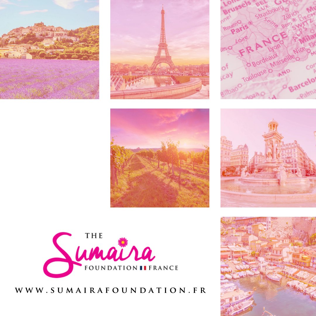 🇫🇷 Nous sommes ravis de vous annoncer le lancement du site internet de The Sumaira Foundation (TSF) France

sumairafoundation.fr/tsf-france-lan…

#NMOSD #MOGAD #France #NeuroTwitter