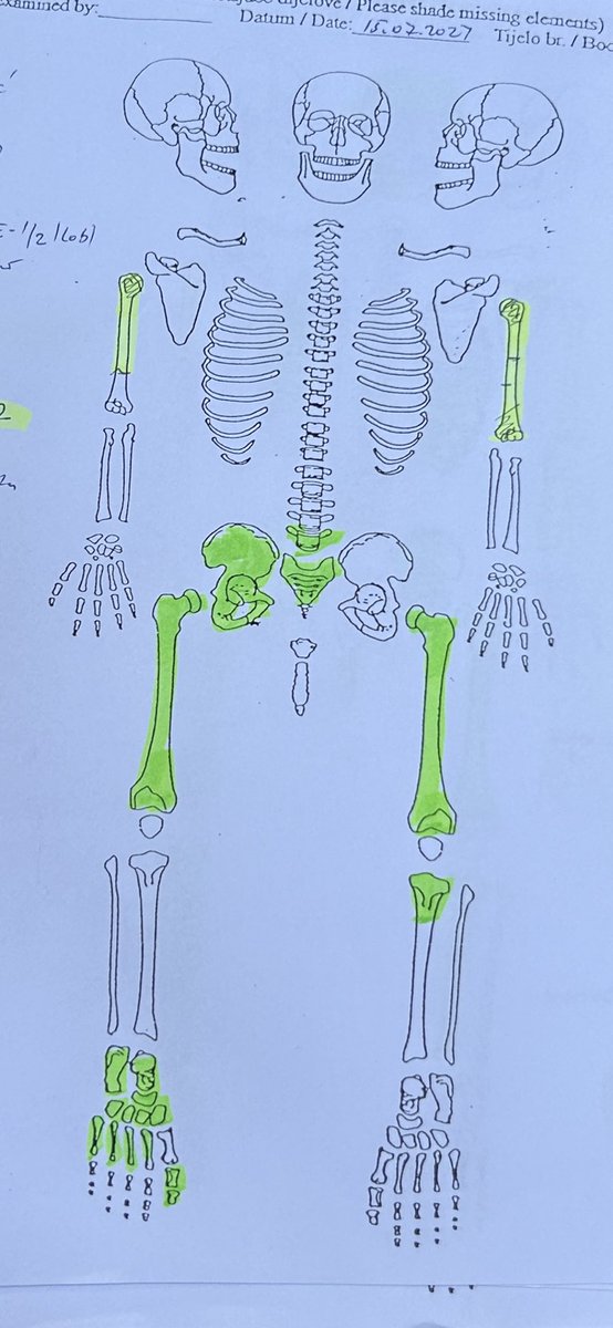 Uncle Hajrudin's grave.  

Bones buried in 2012 are marked in green. 

Bones buried today are light green. It was found on the surface in the Buljim area. 

Some bones were burned. 

There is no hope that missing bones (more than half) wil be found.

#Srebrenica