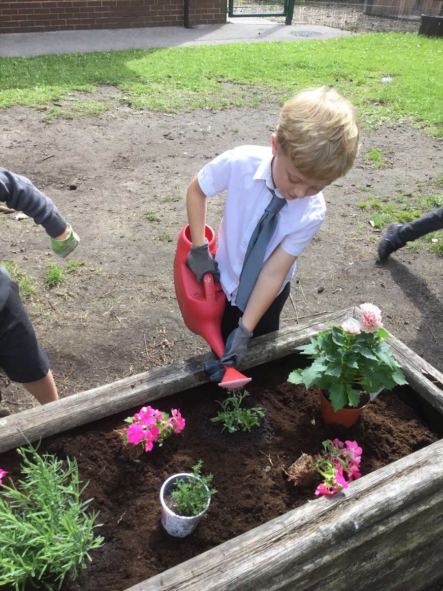 Bishop David Sheppard CE Primary School tweet media