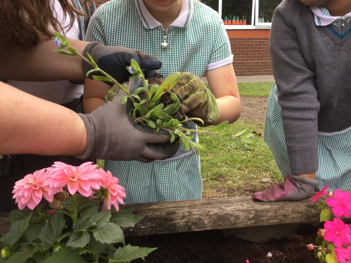 Bishop David Sheppard CE Primary School tweet media