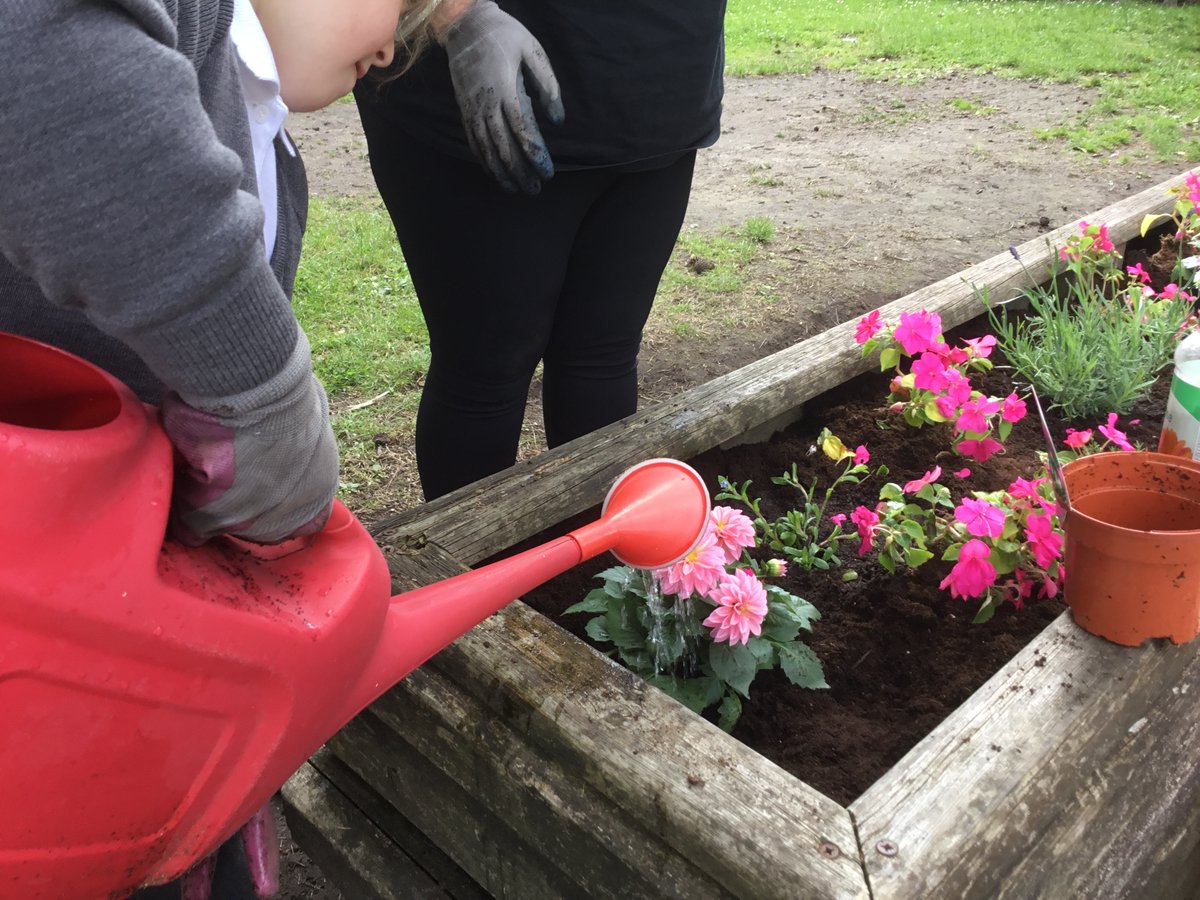 Bishop David Sheppard CE Primary School tweet media