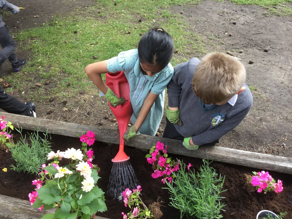 Bishop David Sheppard CE Primary School tweet media