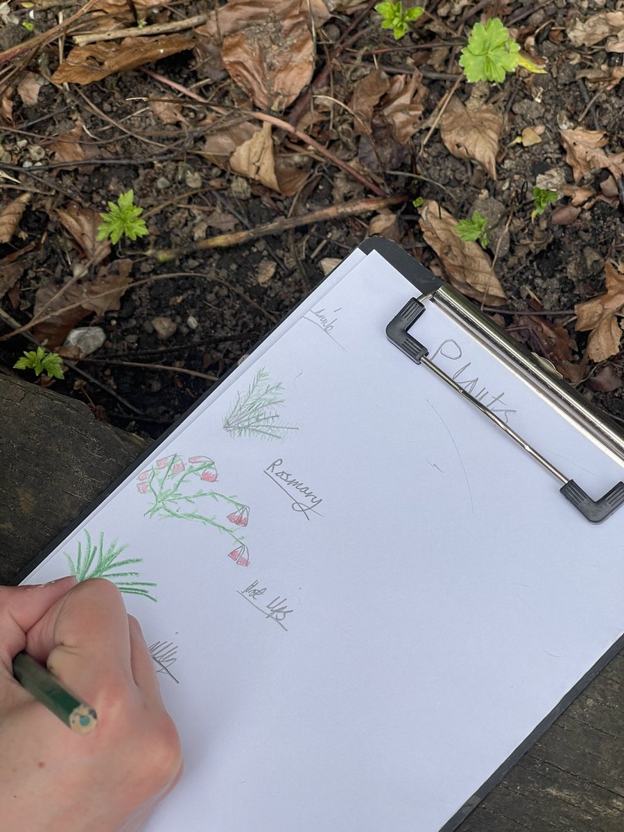 Y5 Beverley Naidoo Class tweet media