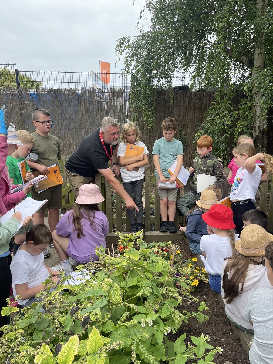 Y5 Beverley Naidoo Class tweet media