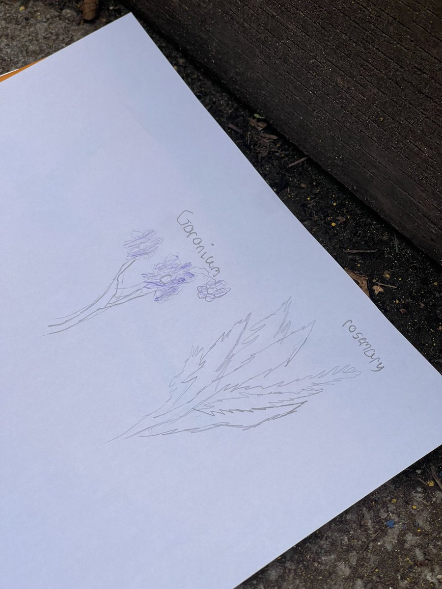 Y5 Beverley Naidoo Class tweet media