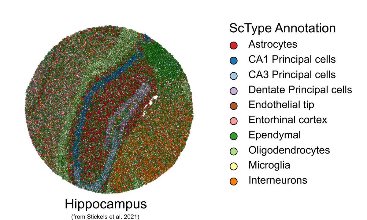 Mitro Miihkinen tweet media