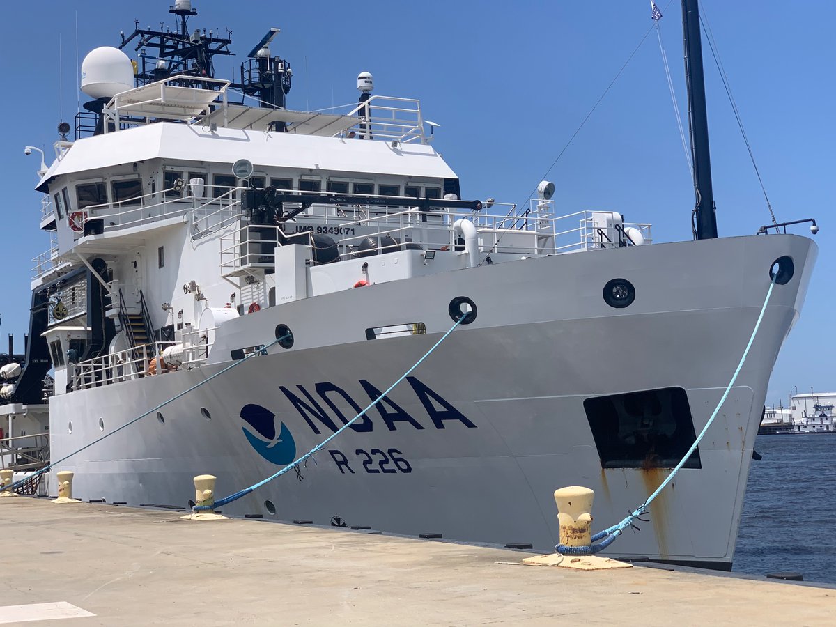 Paula Rodríguez Flores tweet media