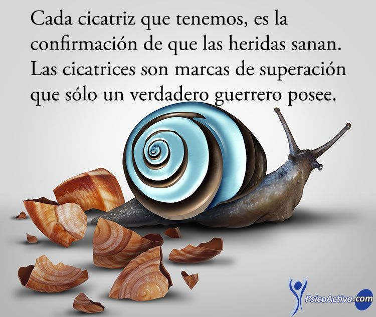 Para reflexionar
