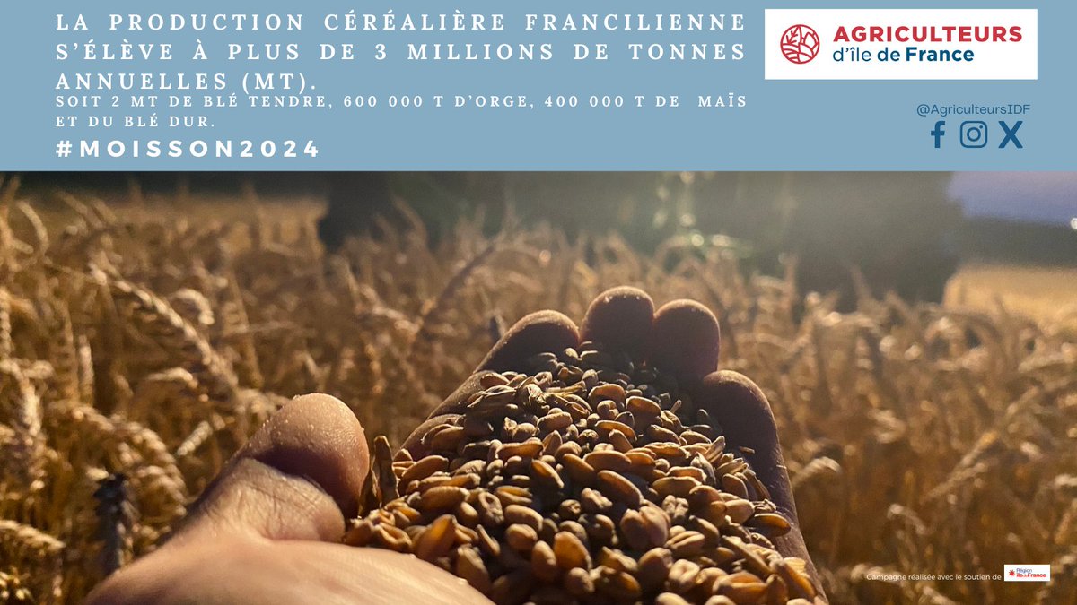 🌾🌞 La Moisson🚜🌾
Exprimons notre profonde gratitude envers ces agriculteurs passionnés qui nourrissent 10 millions de franciliens par an💪
En IDF, les🌾sont les cultures principales, mais les rendements varient(climat, ressources…)Rendons hommage à nos👨🏼‍🌾 qui nous nourrissent