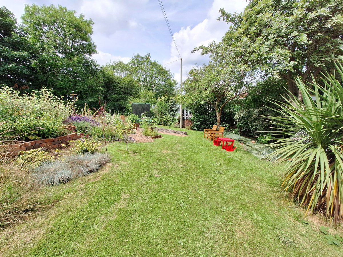 FLLCsheffield's tweet image. The library garden is looking great.  One of the Black Magic sunflowers that was planted by our children's gardening group has found enough sunshine to flower!
🌻