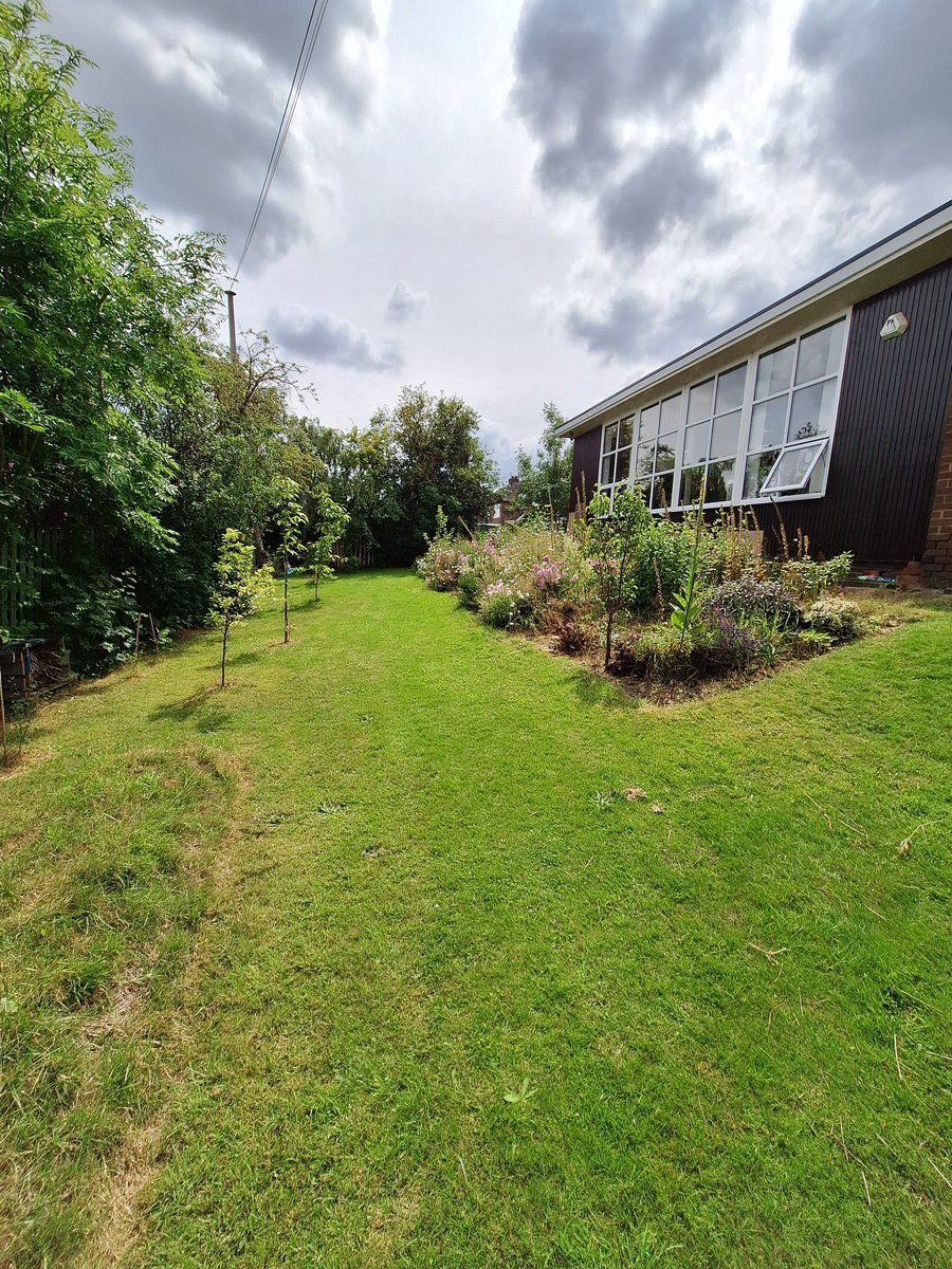 FLLCsheffield's tweet image. The library garden is looking great.  One of the Black Magic sunflowers that was planted by our children's gardening group has found enough sunshine to flower!
🌻