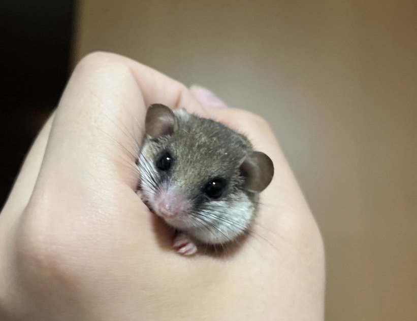 顎肉、、、🫠🫠