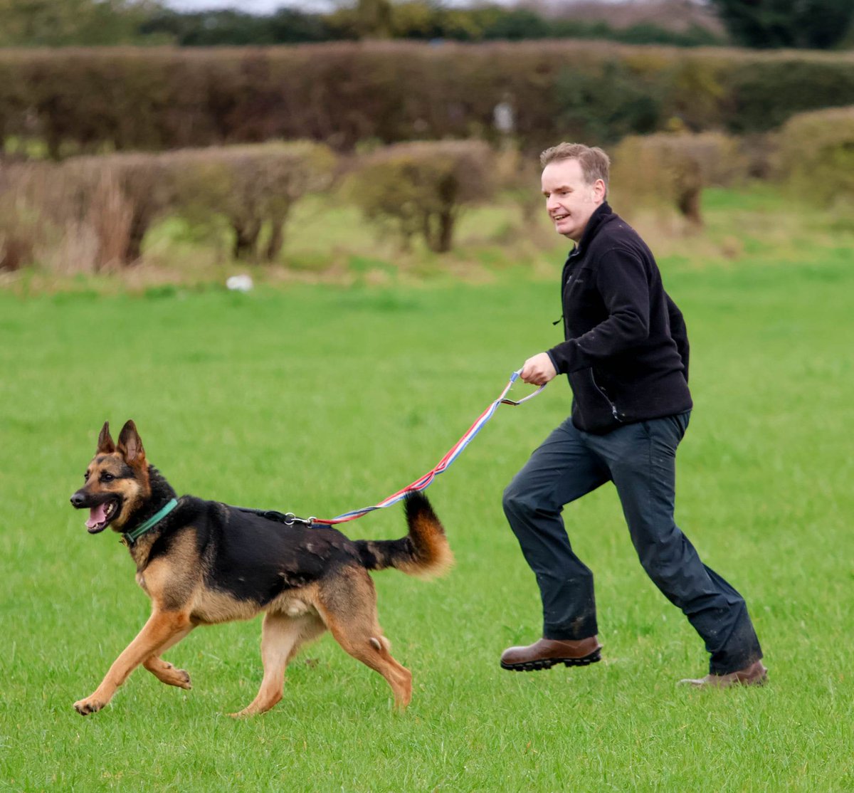 gsrescueelite's tweet photo. Arlo is 4yrs old and he has been with us most his life, Arlo is an extremely anxious boy who will need an exp, child and pet free home and preferably with a single person in a quiet area 
#dogs #GermanShepherd #Notts 
 https://t.co/EaxgtxHlbF https://t.co/hlfG7ceJ0F