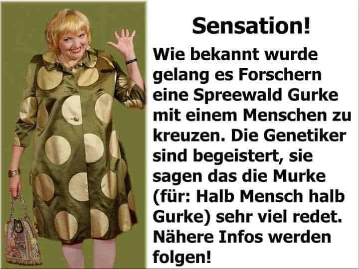 PernodKommando's tweet photo. Die #Murke redet viel. 🧐
Ich piesch gleich ein.🙃 https://t.co/RugkmdeK9Q