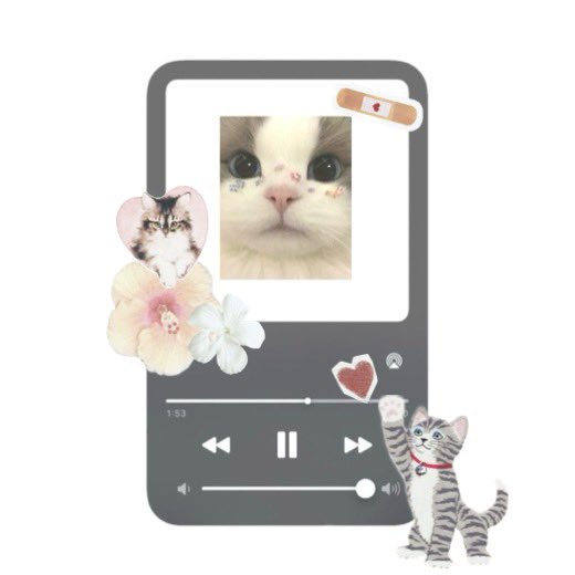 水魿 . ｡　ﾟ。 tweet media