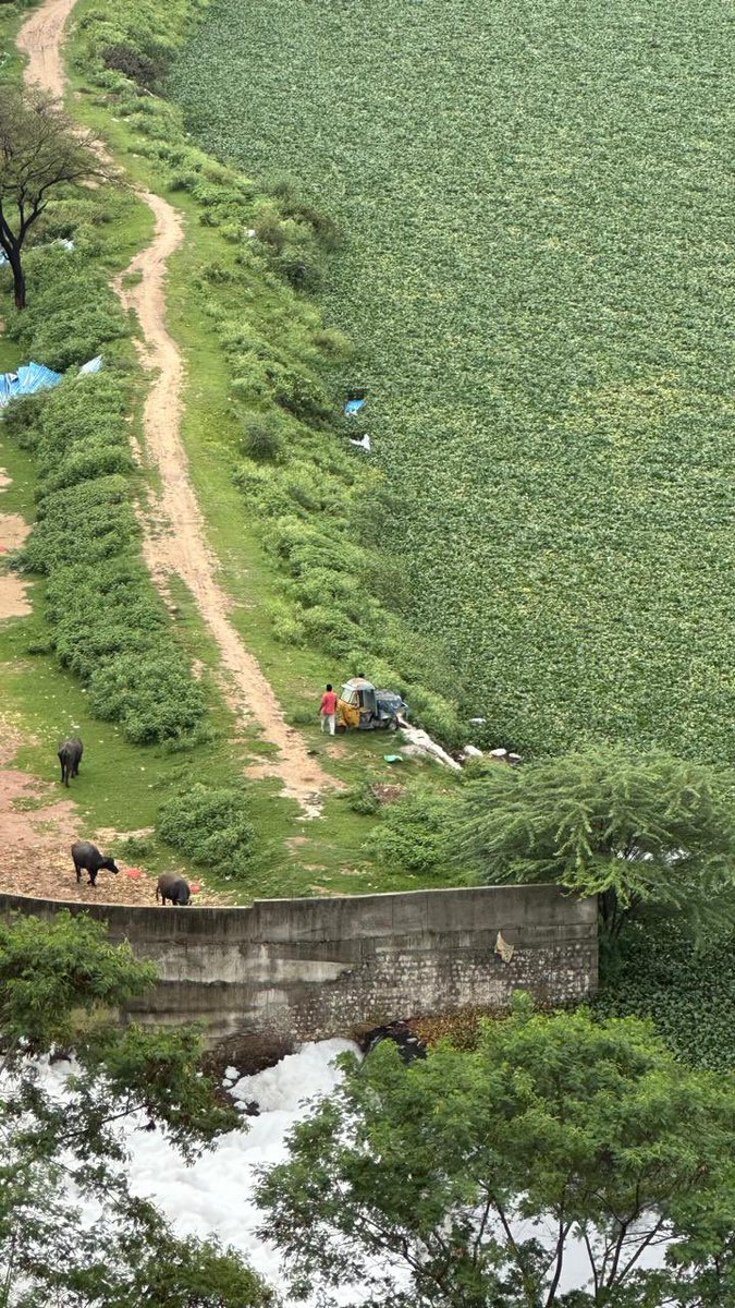 Sudhakar Udumula tweet media