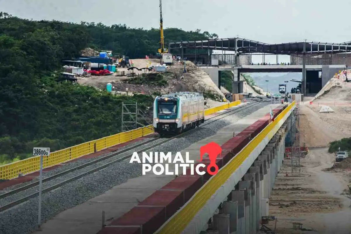 #HoyEnAnimal | Pese a que existe una suspensión definitiva, la construcción de las obras del tramo 7 del #TrenMaya continúan.

En medio de una batalla legal, comunidades mayas de Campeche han denunciado al <a href="/GobiernoMX/">Gobierno de México</a> por desacato. 

🔗buff.ly/4d1iDwA