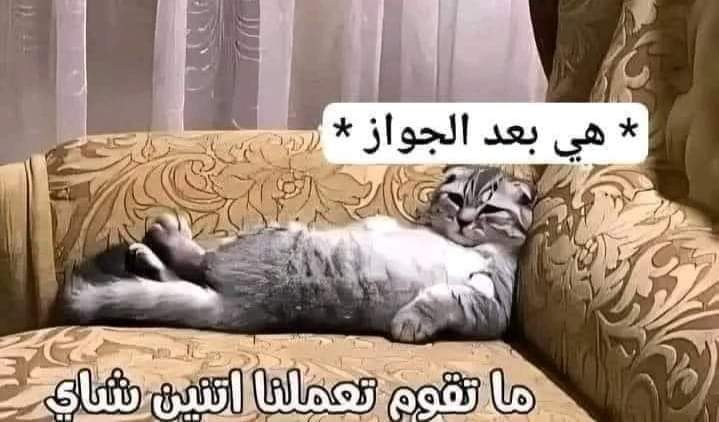 AhmedElbedyy's tweet photo. لما تفضل طول فترة الخطوبة تقولك نتجوز بس و هفصصلك السمك و الرمان بإيدي.😹😹😹 https://t.co/XzKIls6YEP