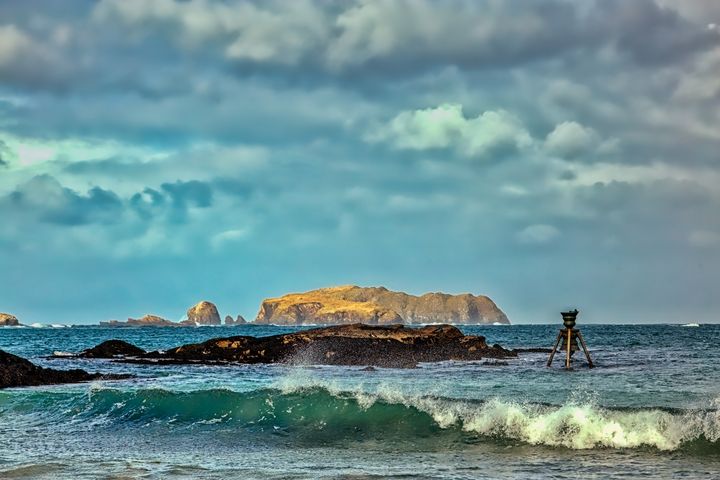nethycurl's tweet photo. Art of the Day: "Time and Tide Bell - Bosta". Buy at: https://t.co/NFrsc0BTUV https://t.co/NUj6If2CgO