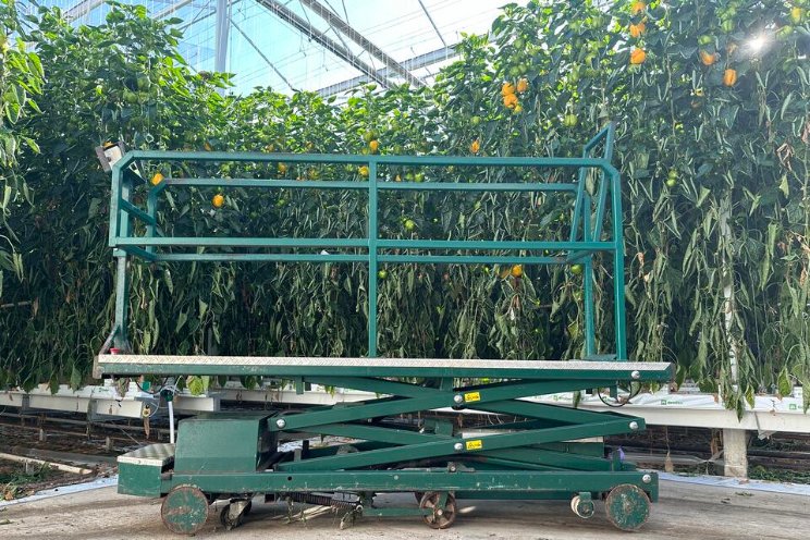 Gebruikte #Buitendijk #buisrailwagens tuinbouwmarktplaats.nl/intern-transpo… #Gebruikte Buitendijk buisrailwagens