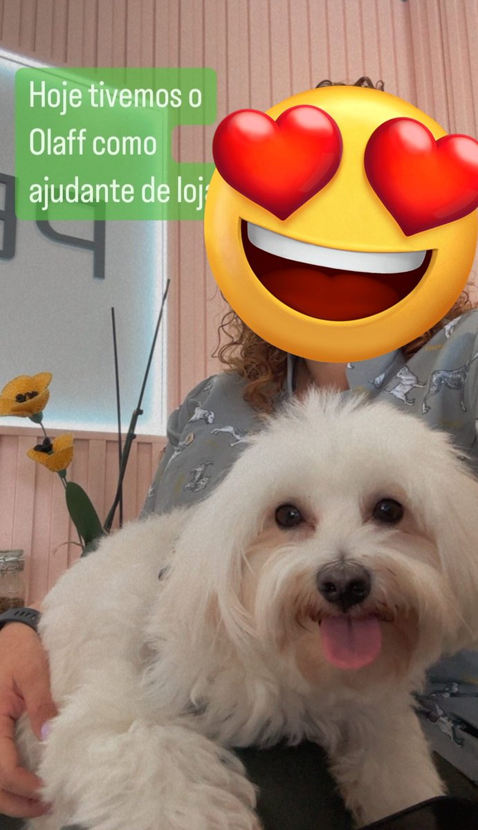 HangryHarto tweet media