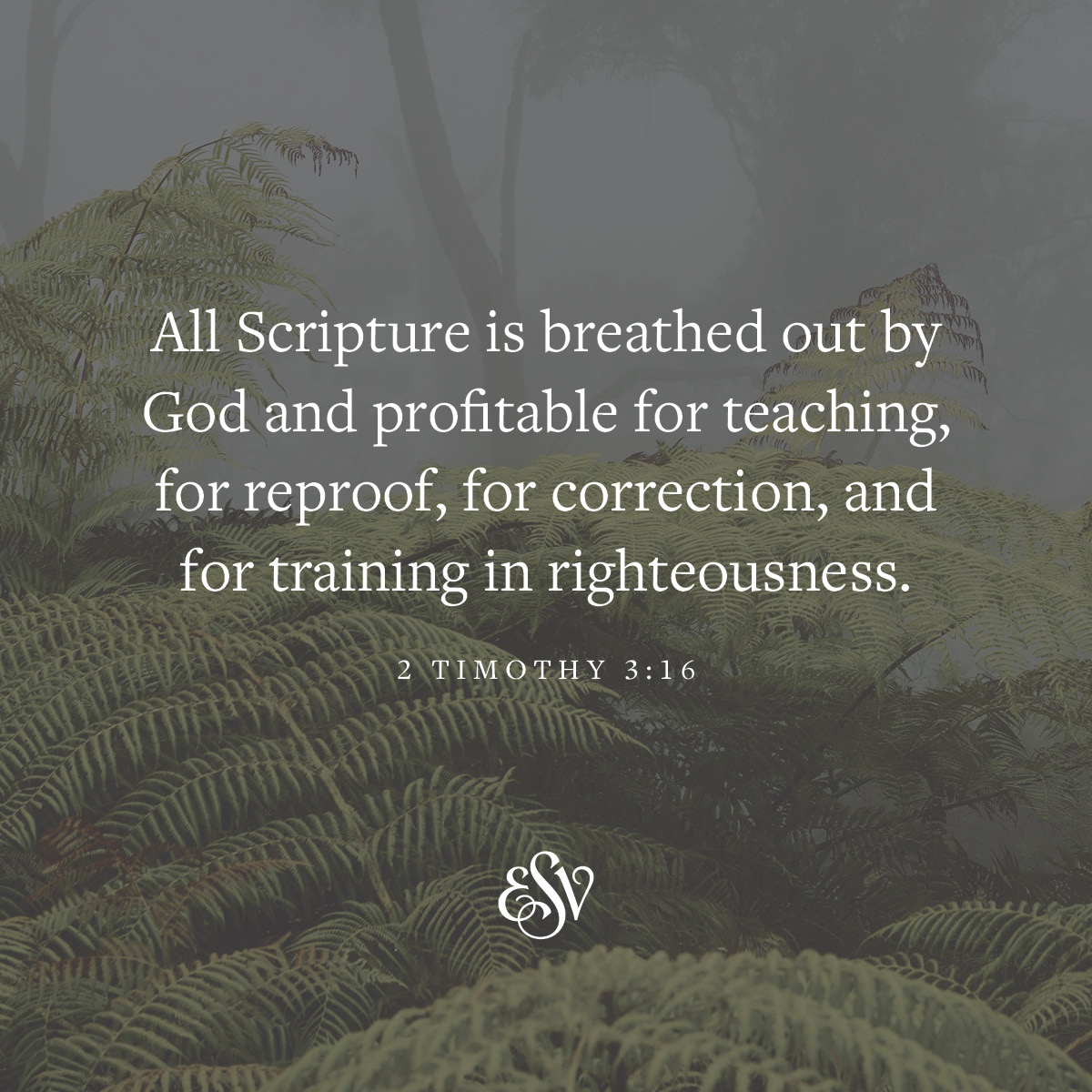 All Scripture is breathed out by God and profitable for teaching, for reproof, for correction, and for training in righteousness.
—2 Timothy 3:16 ESV.org

#Verseoftheday #ESV