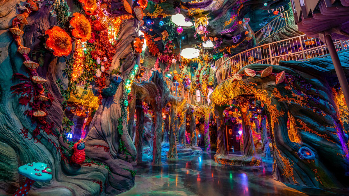 VibDenver's tweet photo. Step into a world of wonder at @MeowWolf, just minutes from Vīb! 🎨🔮

Experience mind-bending art, immersive storytelling, and interactive exhibits like never before. Whether you're exploring fantastical realms, uncovering hidden secrets, or just losing yourself in the magic https://t.co/2hdUbMhyGW