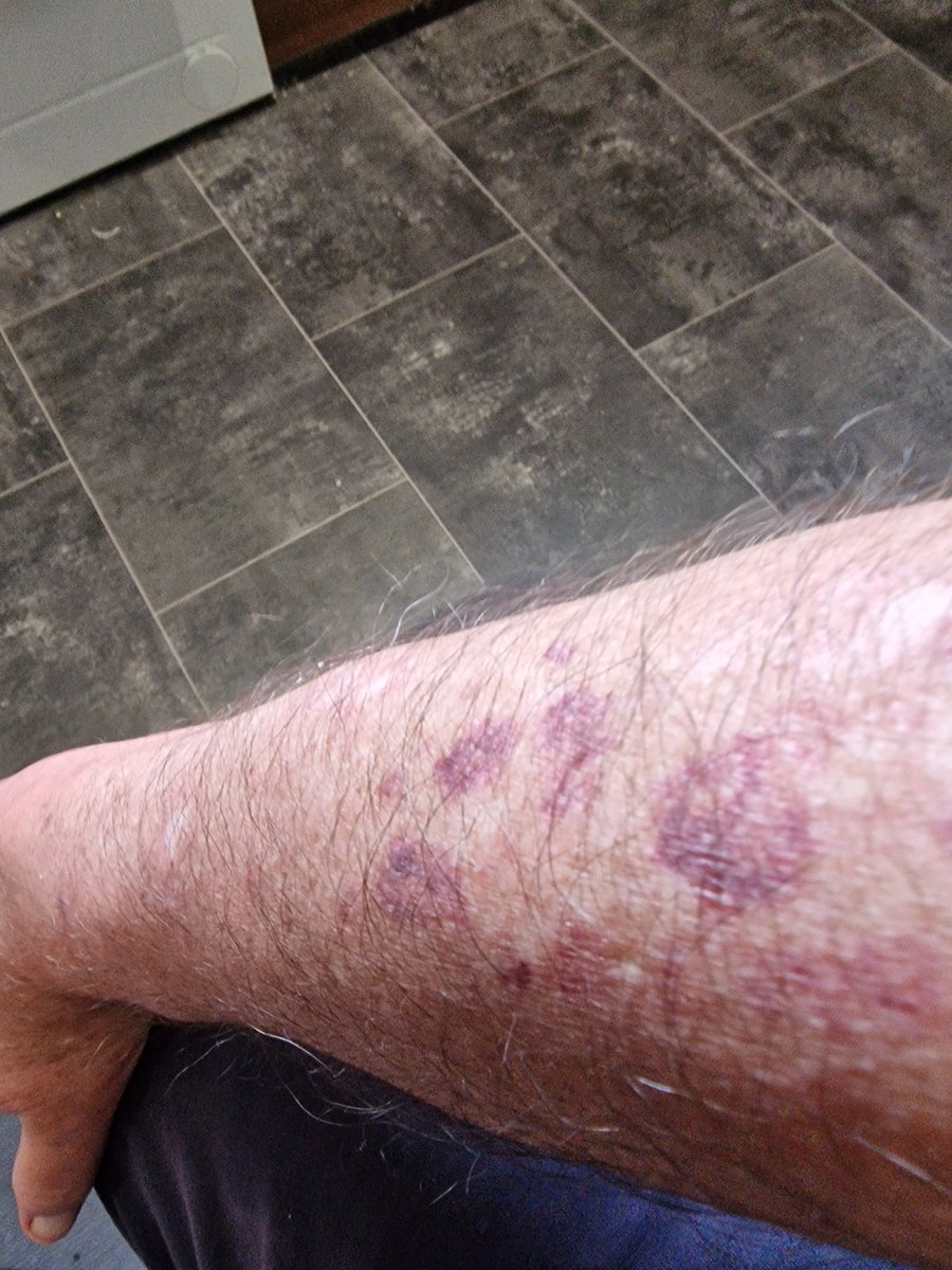 Sir Peter Morris: Just fed up of all the nonsense. tweet media