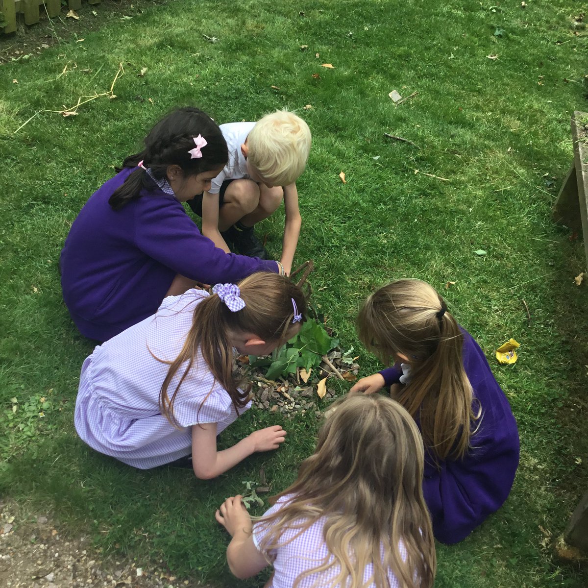 Bugbrooke_Y1/2 tweet media