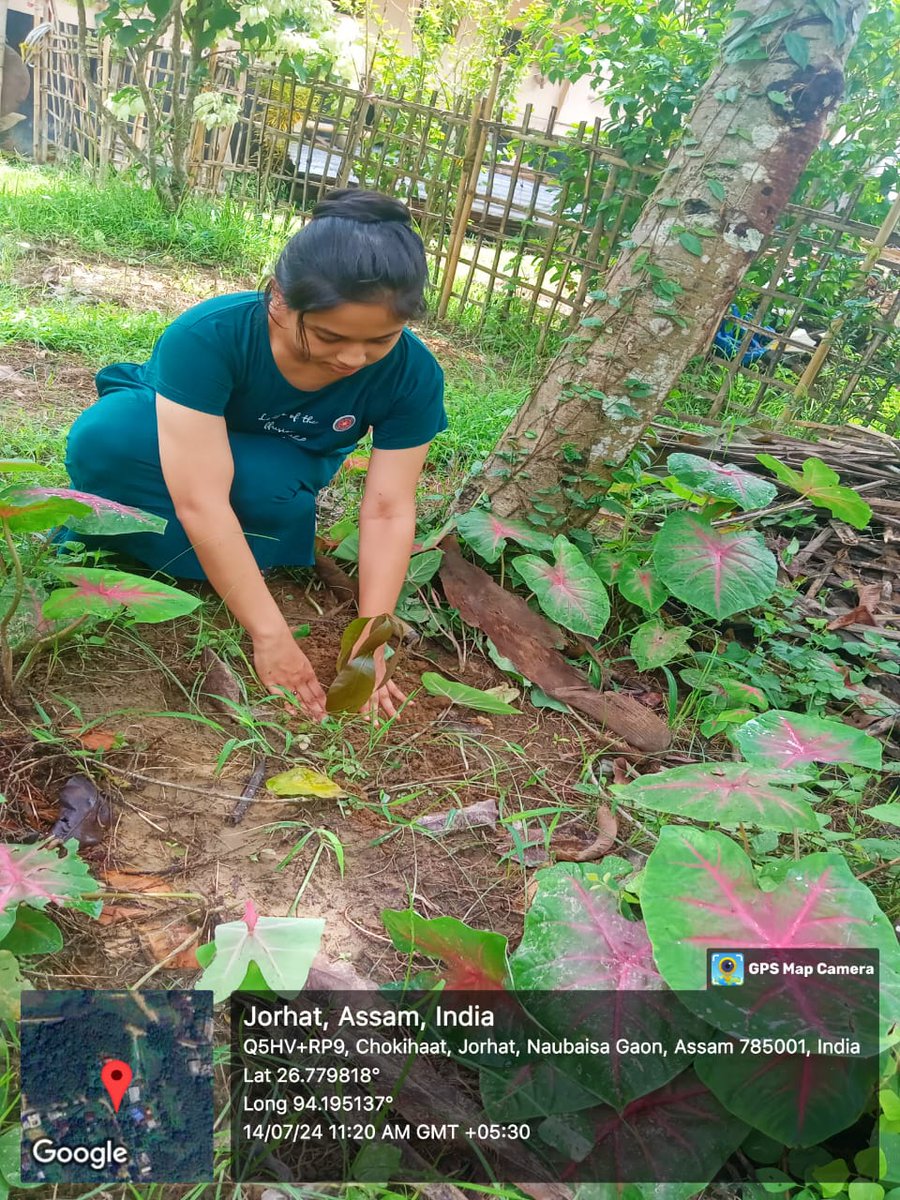 NSS Unit DIET-Jorhat,Titabar,Assam 🇮🇳 tweet media