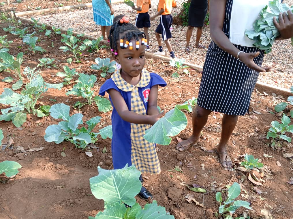 Rotafield_Sch's tweet photo. One step at a time. 

One of our children monitoring vegetables they planted earlier on. 
 They established a model farm, from which they can even draw what to eat. 

#RotafirldSchools https://t.co/FXozrQtmQQ