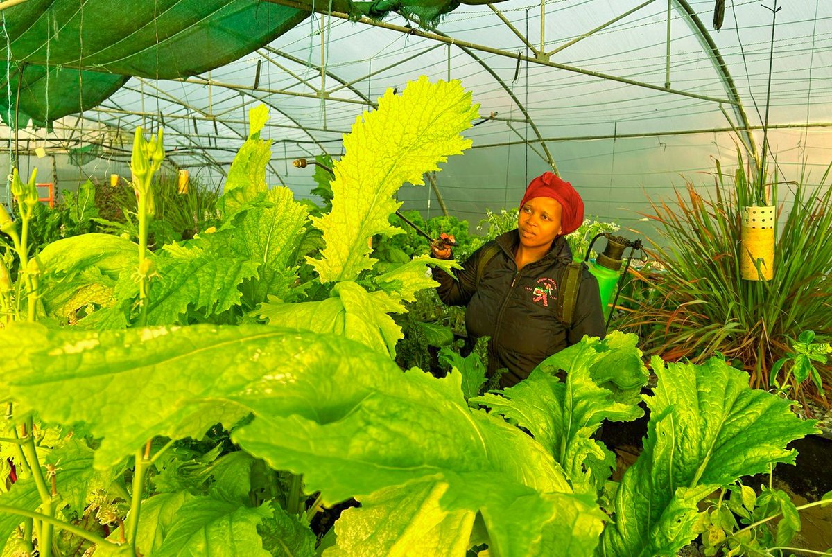 Gugulethu_CM's tweet photo. #BreakingBugs
#IAmTheOneWhoKnocks https://t.co/U6cjludvSp