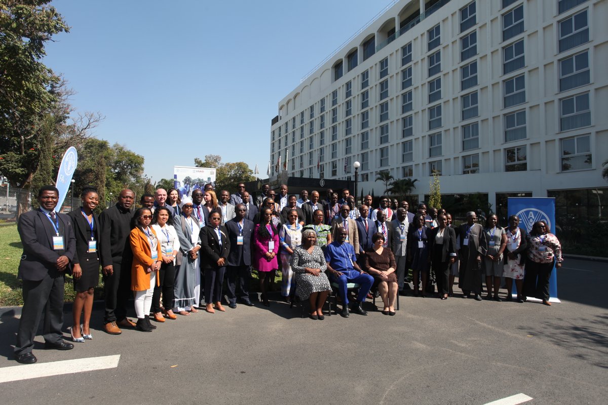 FAOZambia's tweet photo. 🔬🌍 Happening now! 48 Lab specialists from 22 African countries are participating in the inter-regional @FAOLivestock @FAOemergencies #ECTAD &amp; @USAID #GHS supported training to map &amp; evaluate country-specific progress in implementing the biosafety/biosecurity national roadmaps. https://t.co/glu2ygFvq7