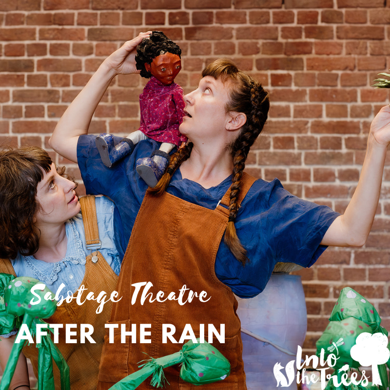 Into The Trees  🌳 tweet media