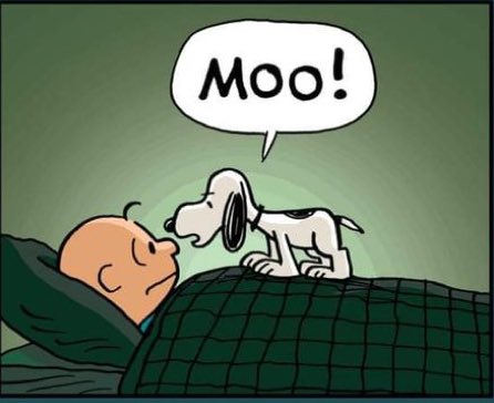 RubyRoseV1's tweet image. Some days, Mondays are a bitch to deal with.